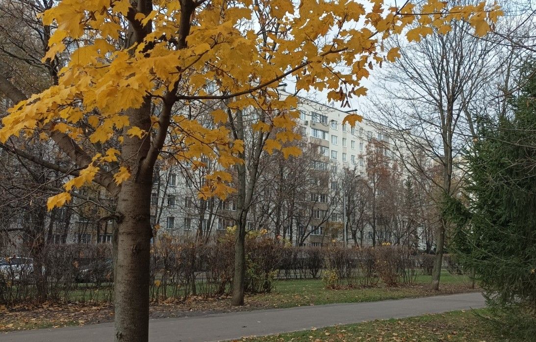 фасад дома, здание по адресу г Москва, ул Новочерёмушкинская, д 24